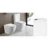 Kép 2/3 - Wellis Sophia monoblokkos WC