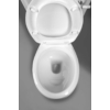 Kép 2/3 - Aqualine ANTIK monoblokkos WC, hátsó kifolyású, PP WC-ülőkével, öblítőmechanika kerámia fogantyúval,